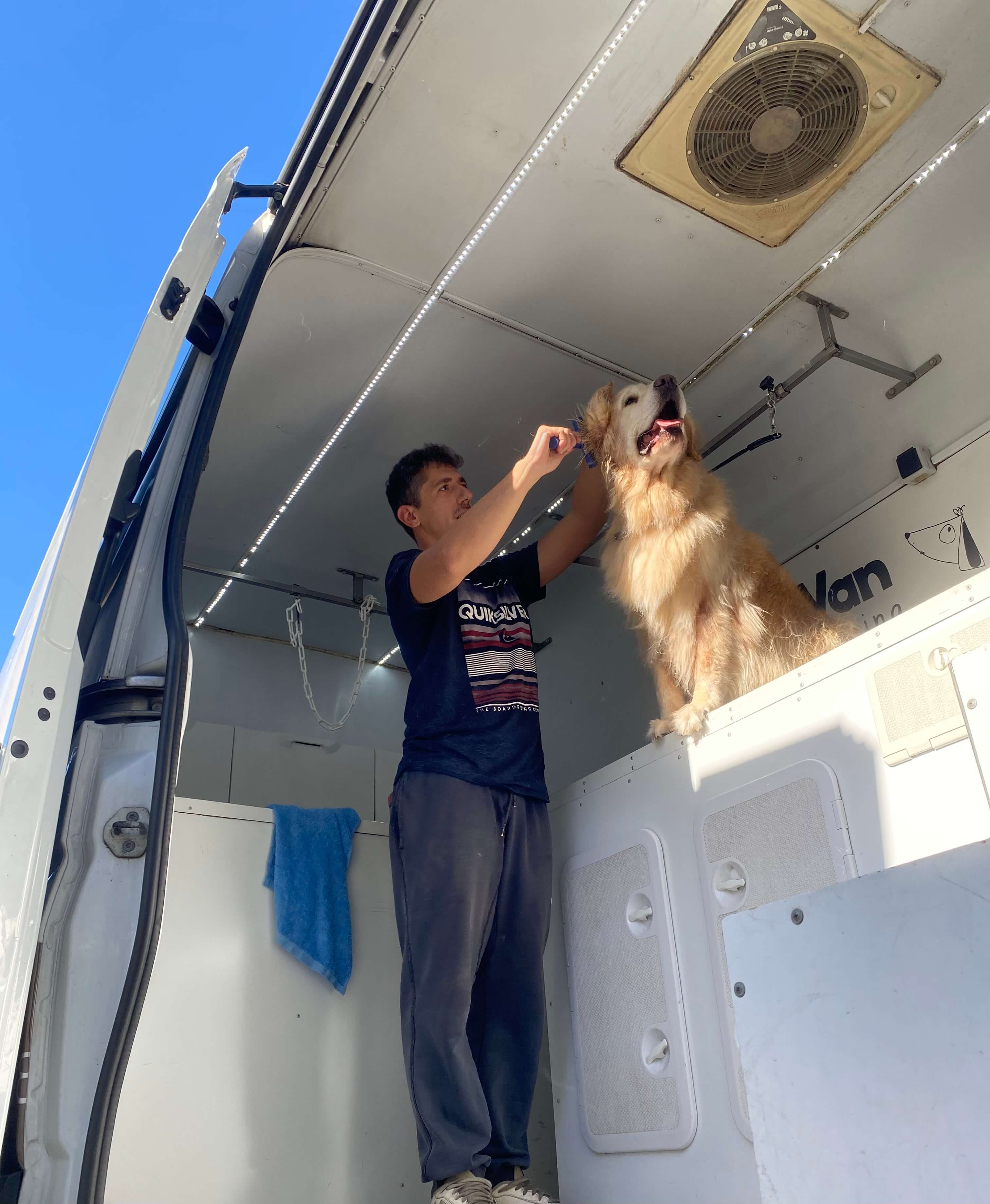 Van 4
